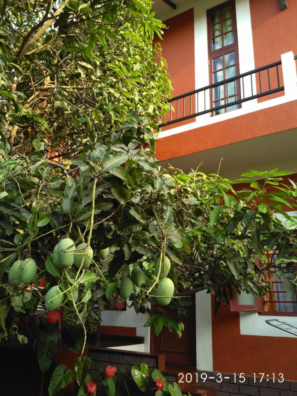 Nilas Guesthouse Hikkaduwa Exterior foto